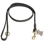 Leather Pitbull Leash for Walking and Tracking