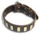 PITBULL Quality Brown dog collar 20 inch/20'' collar - S33p