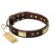 "Rich Fashion" FDT Artisan Decorated Leather Pitbull Collar with Plates and Studs