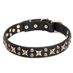 "Vintage Legacy" Leather Collar with Bronze-plated Stars and Studs