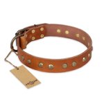 "Spring Flavor" FDT Artisan Adorned Leather Pitbull Collar with Old Bronze-Plated Engraved Studs