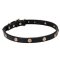 "Sunny Beams" Genuine Leather Dog Collar with Engraved Brass Studs