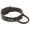 Agitation 2 Ply Leather Collar with Control Handle