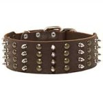 Wide Spiked and Studded Leather Collar for Pitbull