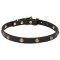 'Elegant Beauty' Leather Pitbull Collar with Brass Fittings