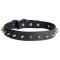 Leather Spiked Dog Collar for Pitbull Training and Walking