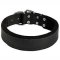 Pitbull Training Leather Collar with Felt Padding
