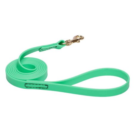 Green Waterproof Pitbull Leash Made of Biothane