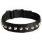 Sophisticated Nylon Collar for Pitbulls with 1 Row of Studs