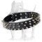 Top Quality Spiked Leather Collar with Nickel-plated Fittings