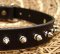 Small Spiked Dog Collar for Pitbull puppy