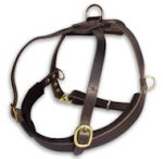 Great Leather Roading Dog Harness for Pitbull
