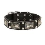 Gorgeous War Dog Leather Pitbull Collar with Old Nickel Plates and Cones