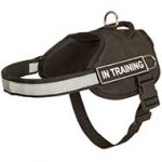 Reflective Nylon Dog Harness with Handle