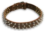 PITBULL Spiked Brown collar 23'' /23 inch dog collar - S44