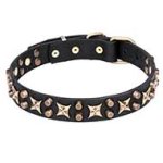 'Hollywood Star' Leather Pitbull Collar with Old Bronze Plated decor