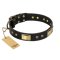 "Black Sun" FDT Artisan Leather Pitbull Collar with Brass Plated Decorations