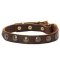 Fancy Studded Leather Dog Collar