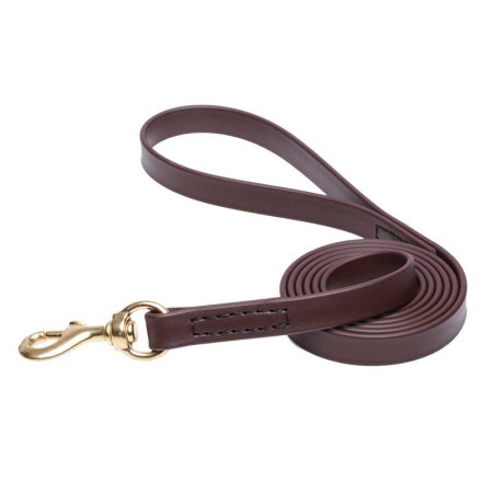 Brown Waterproof Pitbull Leash Made of Biothane