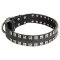 Fashion Leather Pitbull Collar Decorated in "Caterpillar Style"