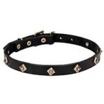 'Rhombi' Studded Leather Dog Collar with Brass Plated Adornment