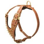 PITBULL Brass Leather Spiked Dog Harness-Handcrafted Dog Harness
