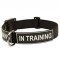 Heavy Duty Patch Nylon Dog Collar for Strong Pitbull