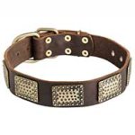 Luxury Leather Dog Collar for Pitbull
