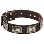 War Style Dog Leather Collar Decorated with Nickel Plates