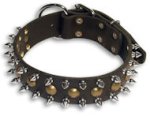 Spiked Black collar 25'' for PITBULL /25 inch dog collar-S55