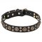 "Boho Style" Leather Pitbull Collar with Mix of Brass Studs