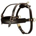 Padded Pulling Harness for Pitbull - Leather Dog Harness