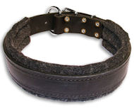 BUY 1.5 inch Leather Collar for Pitbull