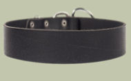 2 inch wide All Weather Collar for Pitbull -Leather Collar
