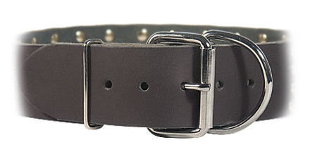 2 inch wide All Weather Collar for Pitbull -Leather Collar