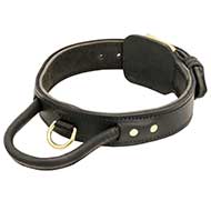 Advanced Leather Dog Collar With Extra Durable Handle for Pitbulls