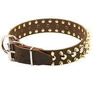 Gorgeous Spiked and Studded Leather Pitbull Collar