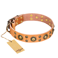'Sophisticated Glamour' FDT Artisan Tan Leather PitBull Collar with Fashionable Old-Bronze Plated Decorations