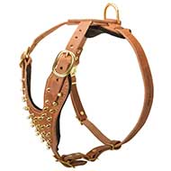 PITBULL Brass Leather Spiked Dog Harness-Handcrafted Dog Harness