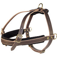 Leather Tracking Harnesses-D rings Dog Harness for Pitbull