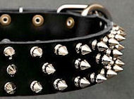 Canine Deluxe Spiked Leather Dog Collar for Pitbull