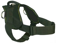 Comfort Wrap Adjustable Dog Harness for Pitbull