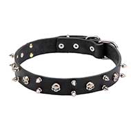 "Jolly Roger" Leather Collar with Nickel-plated Skulls and 2 Rows of Spikes "Jolly Roger" Leather Collar with Nickel-plated Skulls and 2 Rows of Spikes