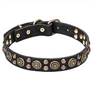 "Boho Style" Leather Pitbull Collar with Mix of Brass Studs "Boho Style" Leather Pitbull Collar with Mix of Brass Studs
