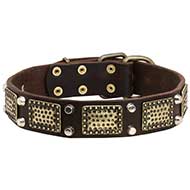 Gorgeous War Dog Leather Collar with Brass Plates Nickel Cones