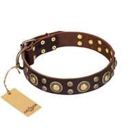 'Flower Melody' FDT Artisan Pitbull Brown Leather Dog Collar with Mixed Studs for Walking