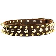 Leather Spiked and Studded Dog Collar for Pitbull