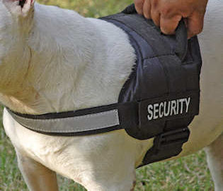 REFLECTIVE Dog HARNESS with a handle for Pitbull