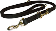 Dog Leash Training for Pitbull -Training Lead