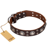 'Age of Beauty' FDT Artisan Incredible Studded Brown Leather Pitbull Collar